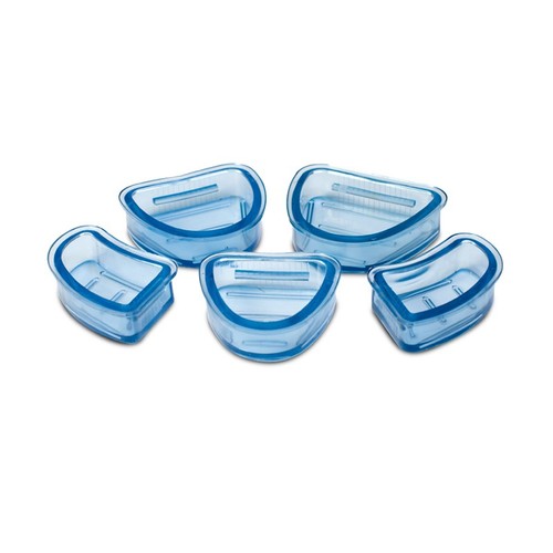 Modello dentale grande base - dentale,